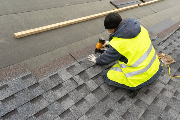 Best Roof Gutter Cleaning  in Shenandoah, PA
