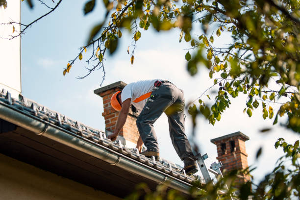 Quick and Trustworthy Emergency Roof Repair Services in Shenandoah, PA