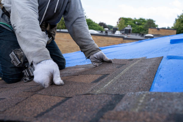 Best Local Roofing Companies  in Shenandoah, PA