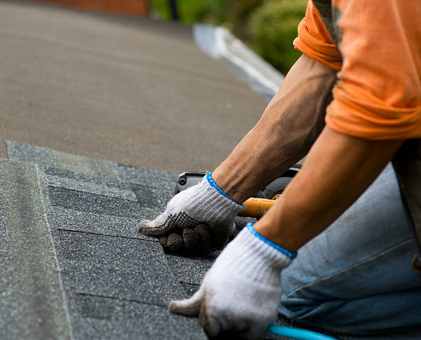 Best Gutter Installation and Roofing  in Shenandoah, PA